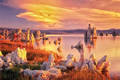 Mono Sunrise I by Dennis Frates canvas print