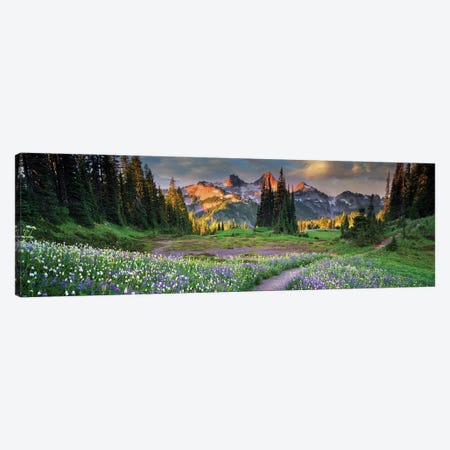 Tatoosh Floral Trail Panoramic Canvas Print #DEN1991} by Dennis Frates Canvas Art Print
