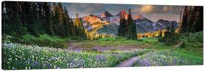 Tatoosh Floral Trail Panoramic Canvas Art Print - Mountains Scenic Photography