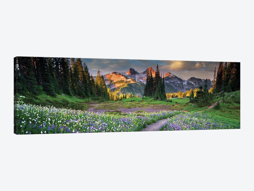 Tatoosh Floral Trail Panoramic by Dennis Frates 1-piece Canvas Print