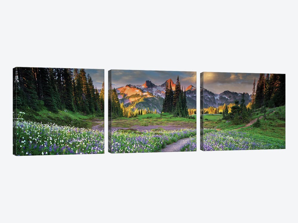 Tatoosh Floral Trail Panoramic by Dennis Frates 3-piece Canvas Art Print