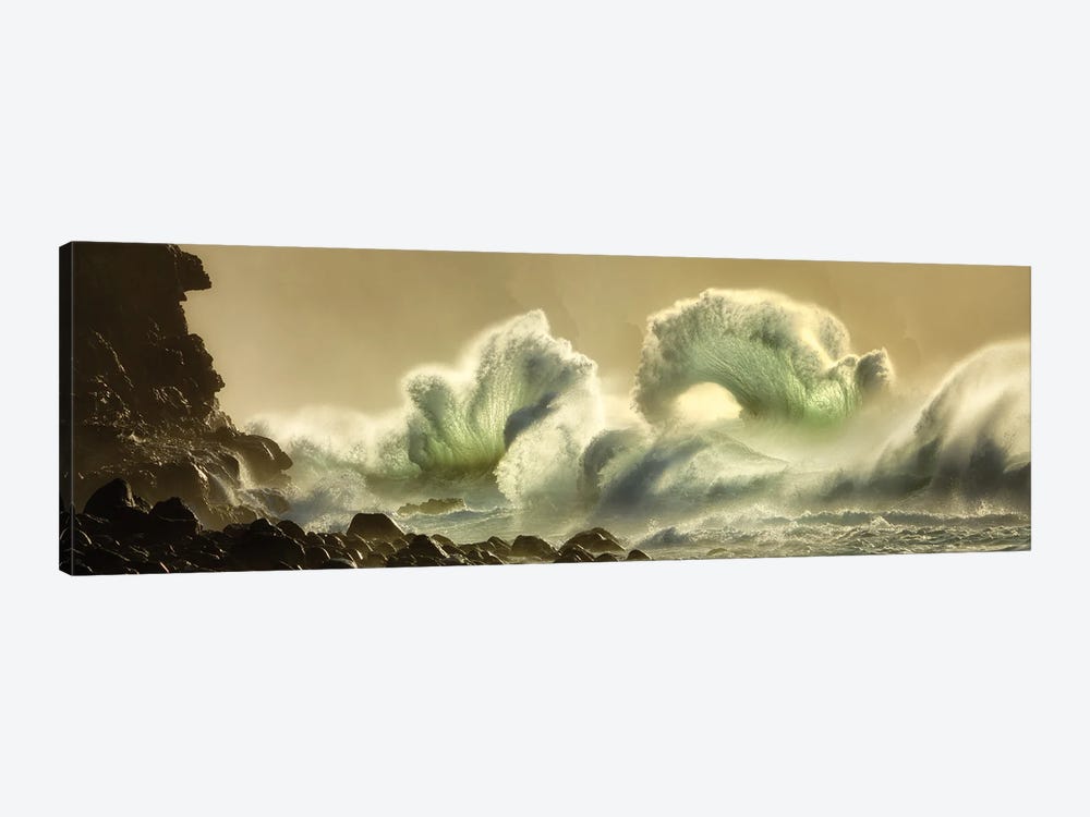 Tropical Storm Waves Panoramic by Dennis Frates 1-piece Art Print