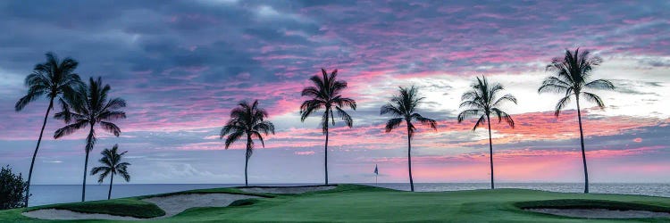 Palm Sunset Panoramic by Dennis Frates wall art
