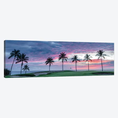 Palm Sunset Panoramic Canvas Print #DEN2005} by Dennis Frates Canvas Art