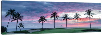 Palm Sunset Panoramic Canvas Art Print - Dennis Frates