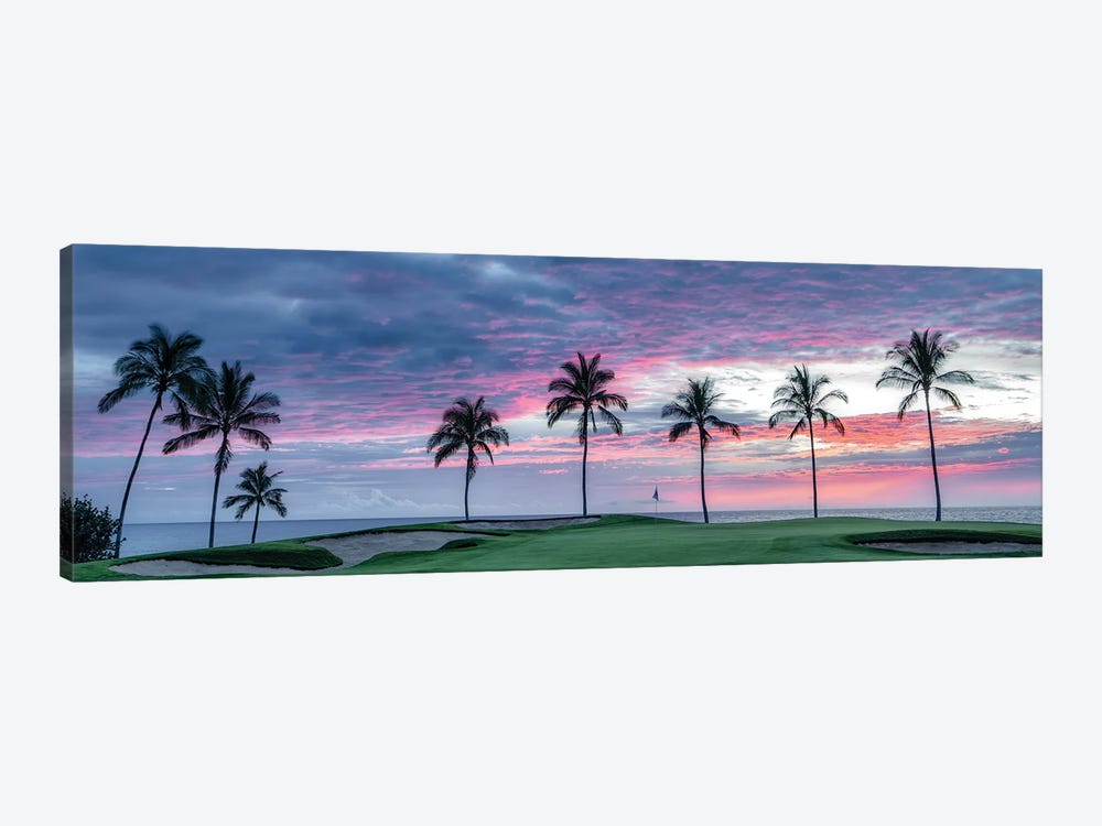 Palm Sunset Panoramic by Dennis Frates 1-piece Canvas Art