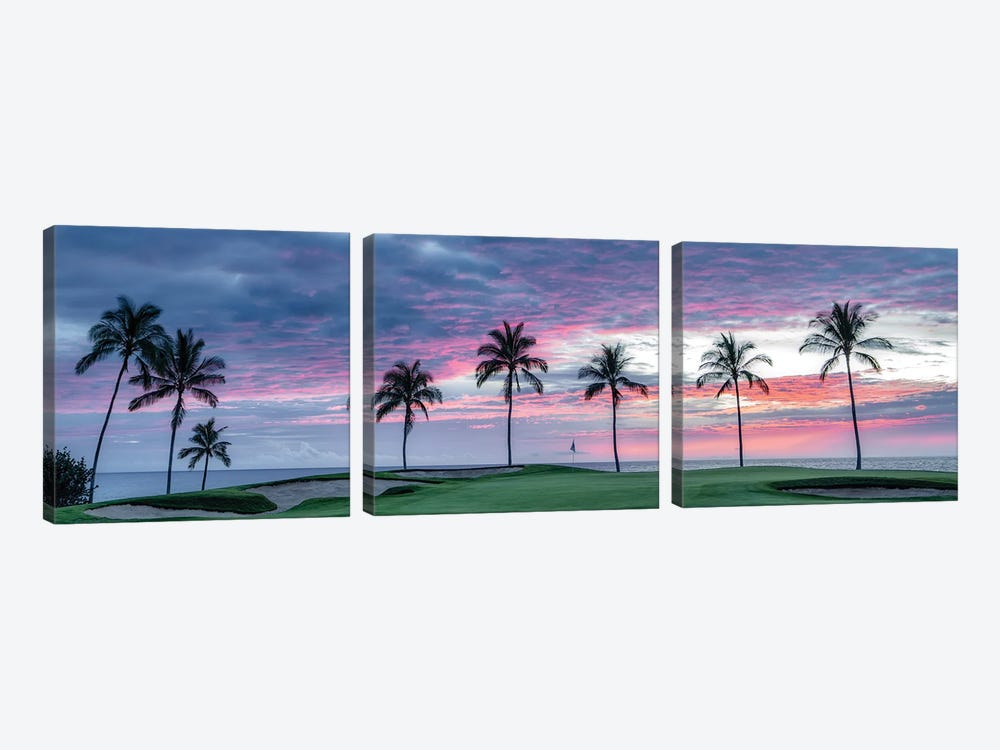 Palm Sunset Panoramic by Dennis Frates 3-piece Canvas Wall Art