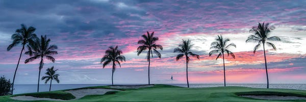 Canvas Print: Palm Sunset Panoramic by Dennis Frates