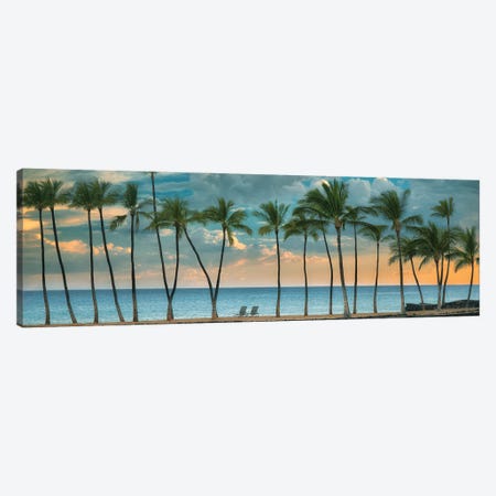 Palm Sunset II Panoramic Canvas Print #DEN2006} by Dennis Frates Canvas Art