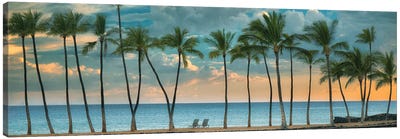 Palm Sunset II Panoramic Canvas Art Print - Turquoise Art
