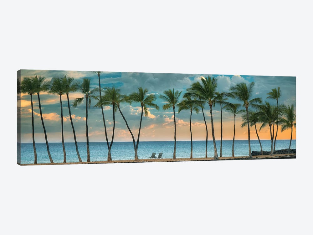 Palm Sunset II Panoramic by Dennis Frates 1-piece Art Print