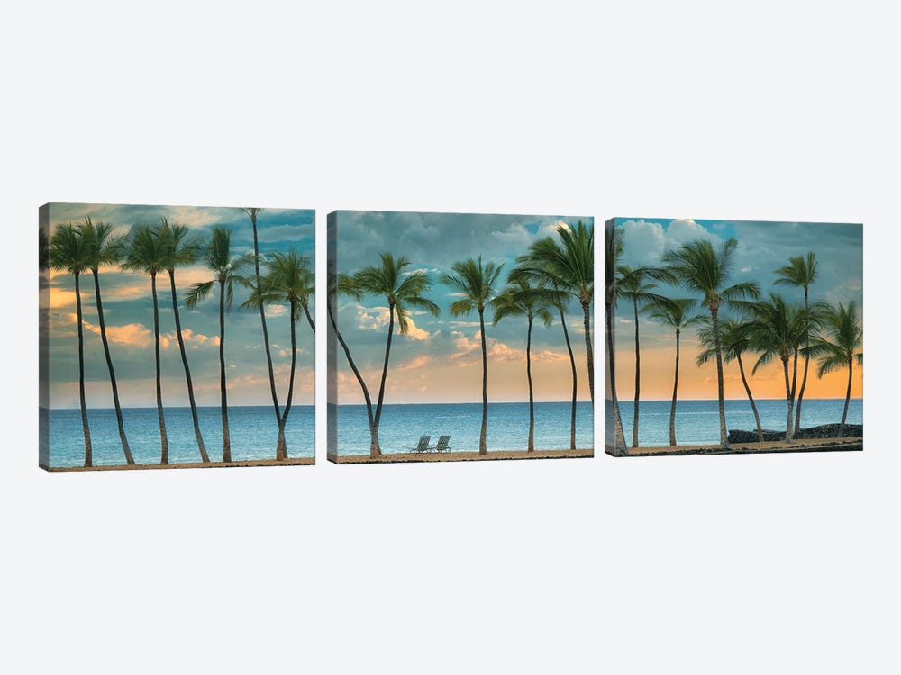 Palm Sunset II Panoramic by Dennis Frates 3-piece Canvas Art Print
