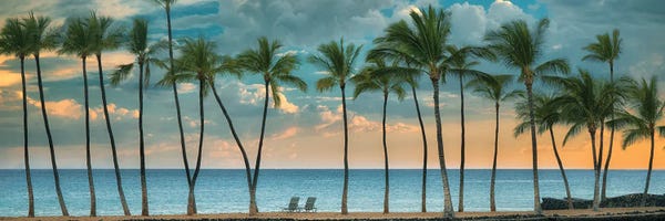 Beach Lover: Palm Sunset II Panoramic by Dennis Frates