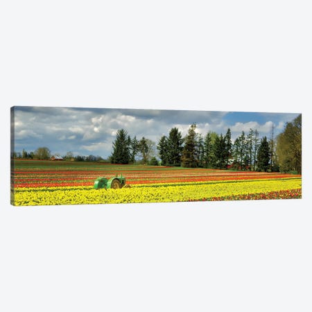 Tulip Tractor Panoramic Canvas Print #DEN2014} by Dennis Frates Art Print