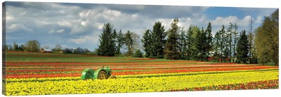 Tulip Tractor Panoramic Canvas Art Print - Tulip Art