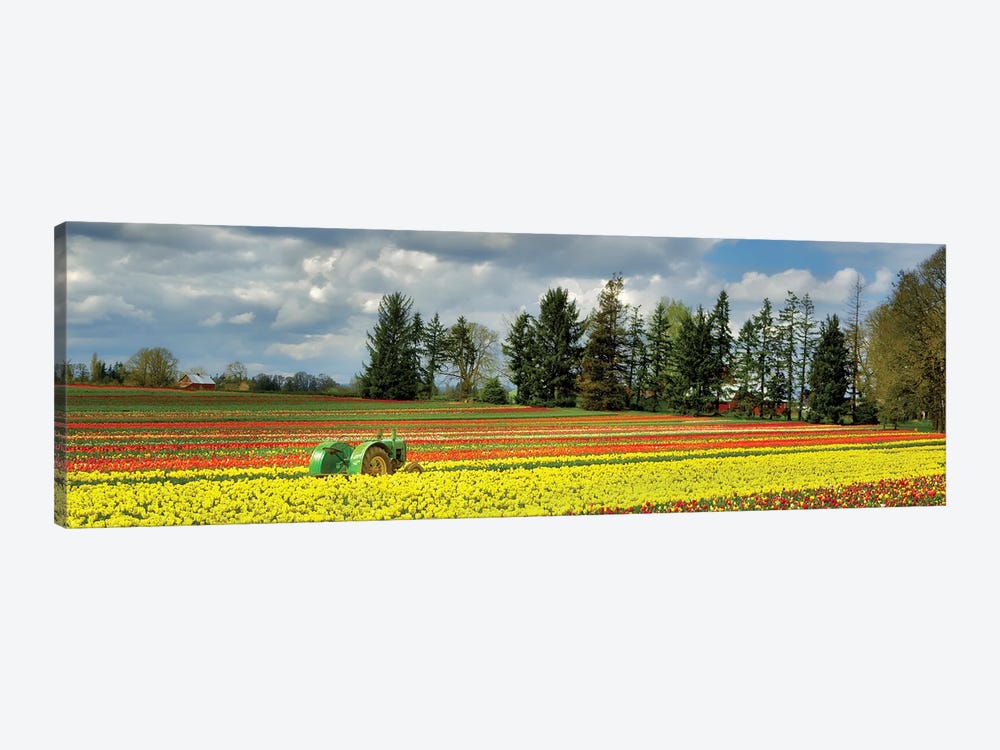 Tulip Tractor Panoramic by Dennis Frates 1-piece Canvas Wall Art