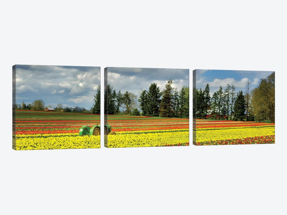 Tulip Tractor Panoramic by Dennis Frates 3-piece Canvas Wall Art