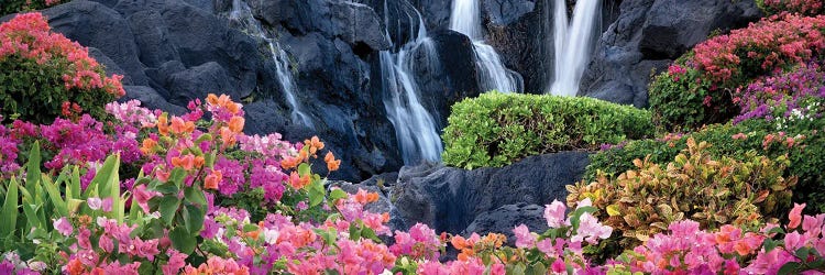 Waterfall Garden Panoramic