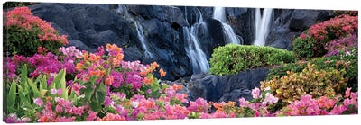 Waterfall Garden Panoramic Canvas Art Print - Dennis Frates