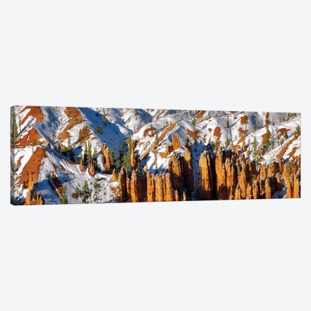 Zion Snow Panoramic Canvas Print #DEN2019} by Dennis Frates Canvas Wall Art