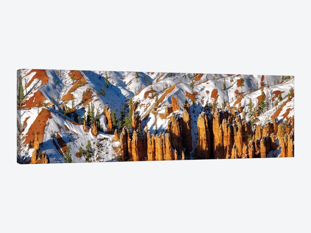 Zion Snow Panoramic by Dennis Frates 1-piece Canvas Print