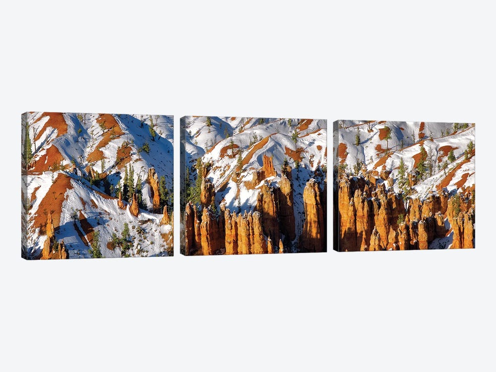 Zion Snow Panoramic by Dennis Frates 3-piece Canvas Art Print