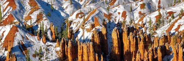 Zion National Park: Zion Snow Panoramic by Dennis Frates