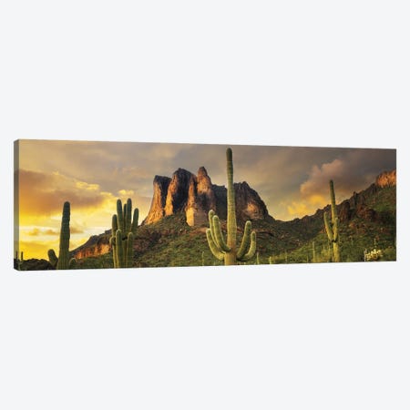Desert Sunset Panoramic Canvas Print #DEN2020} by Dennis Frates Art Print
