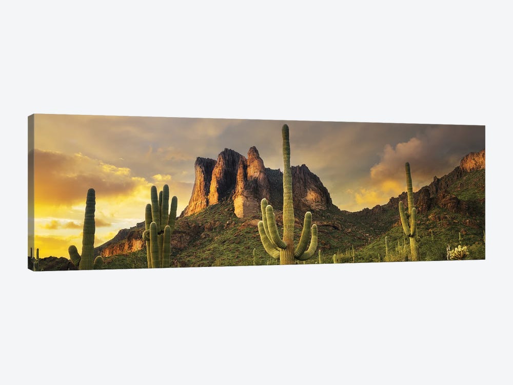 Desert Sunset Panoramic by Dennis Frates 1-piece Canvas Art Print
