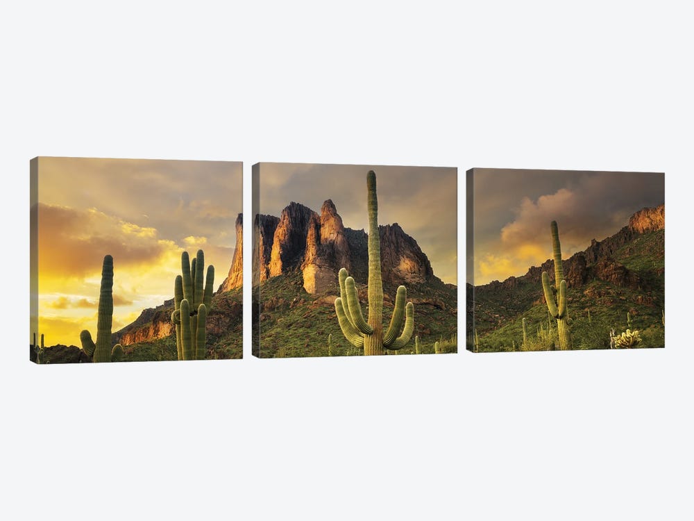 Desert Sunset Panoramic by Dennis Frates 3-piece Canvas Art Print