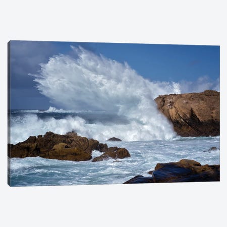 Monster Wave Canvas Print #DEN202} by Dennis Frates Canvas Wall Art