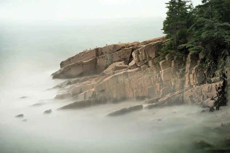 Acadia Coastline I