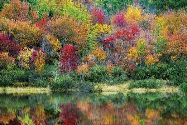 Maine: Maine Autumn by Dennis Frates
