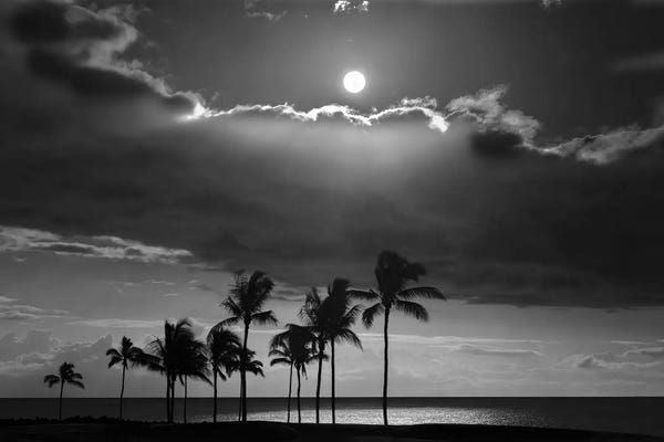 Fine Art Print: Tropical Moonset by Dennis Frates