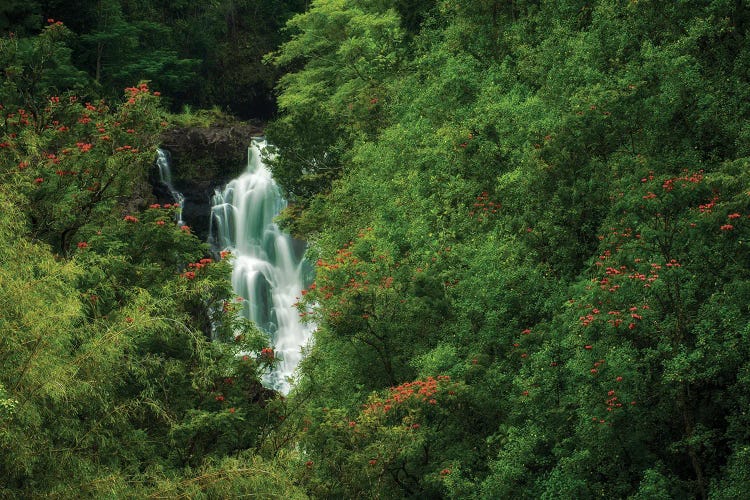 Hawaii Tropical Waterfall