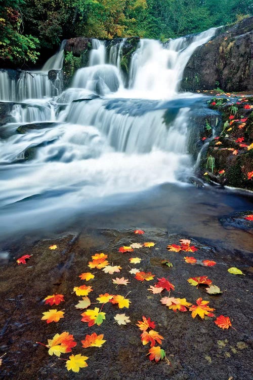 Autumn Falls by Dennis Frates wall art