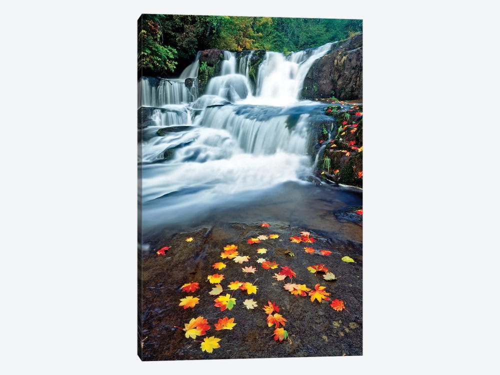 Autumn Falls by Dennis Frates 1-piece Canvas Art