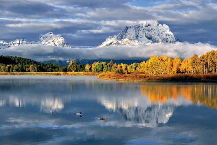 Oxbow Lake And Ducks