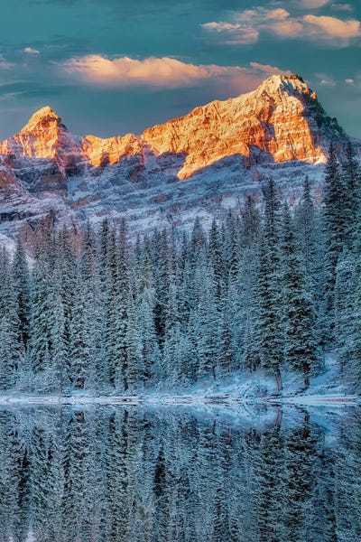 Evergreen Trees: Moraine Sunrise II by Dennis Frates