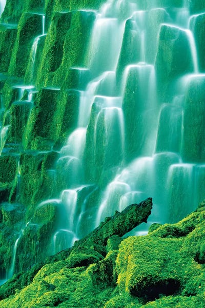 Moss Covered Falls by Dennis Frates canvas print