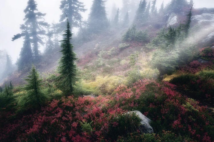 Backcountry Autumn