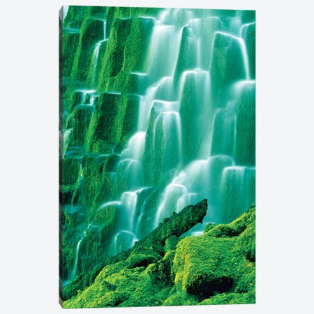 Moss Covered Falls Canvas Print #DEN216} by Dennis Frates Canvas Art