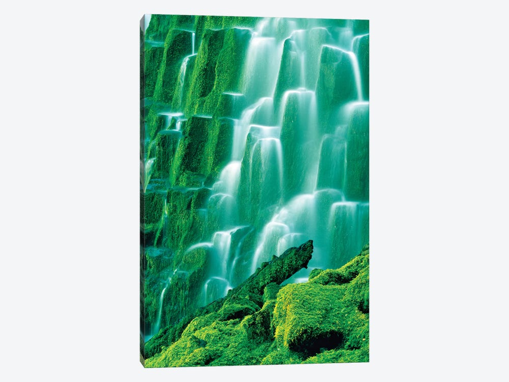 Moss Covered Falls by Dennis Frates 1-piece Canvas Art