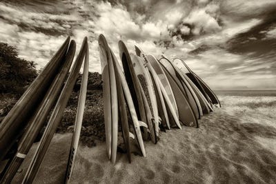 Surfs Up IV by Dennis Frates multi panel art