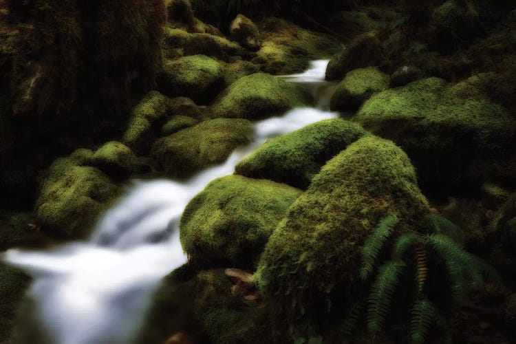 Mossy Falls by Dennis Frates wall art