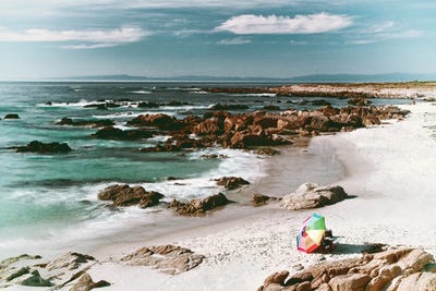 Last Umbrella by Dennis Frates framed wall art