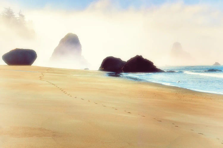 Foggy Footsteps