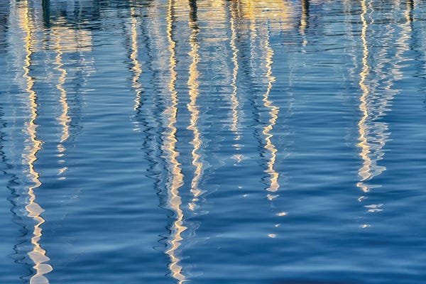 Dennis Frates: Sail Reflection by Dennis Frates