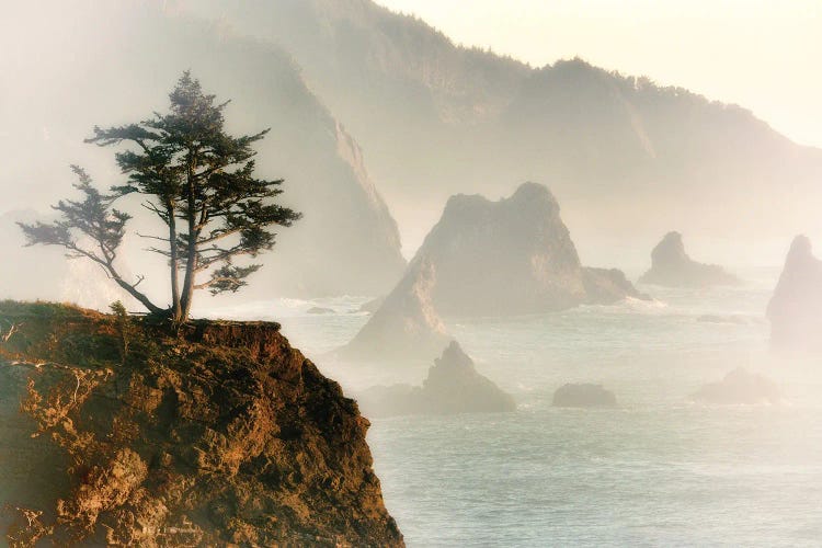 Foggy Seaside by Dennis Frates wall art
