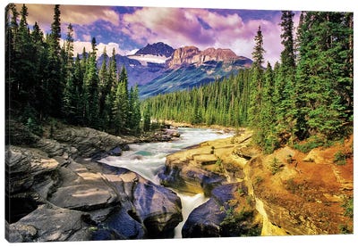 Mountain Stream Canvas Art Print - Evergreen Tree Art